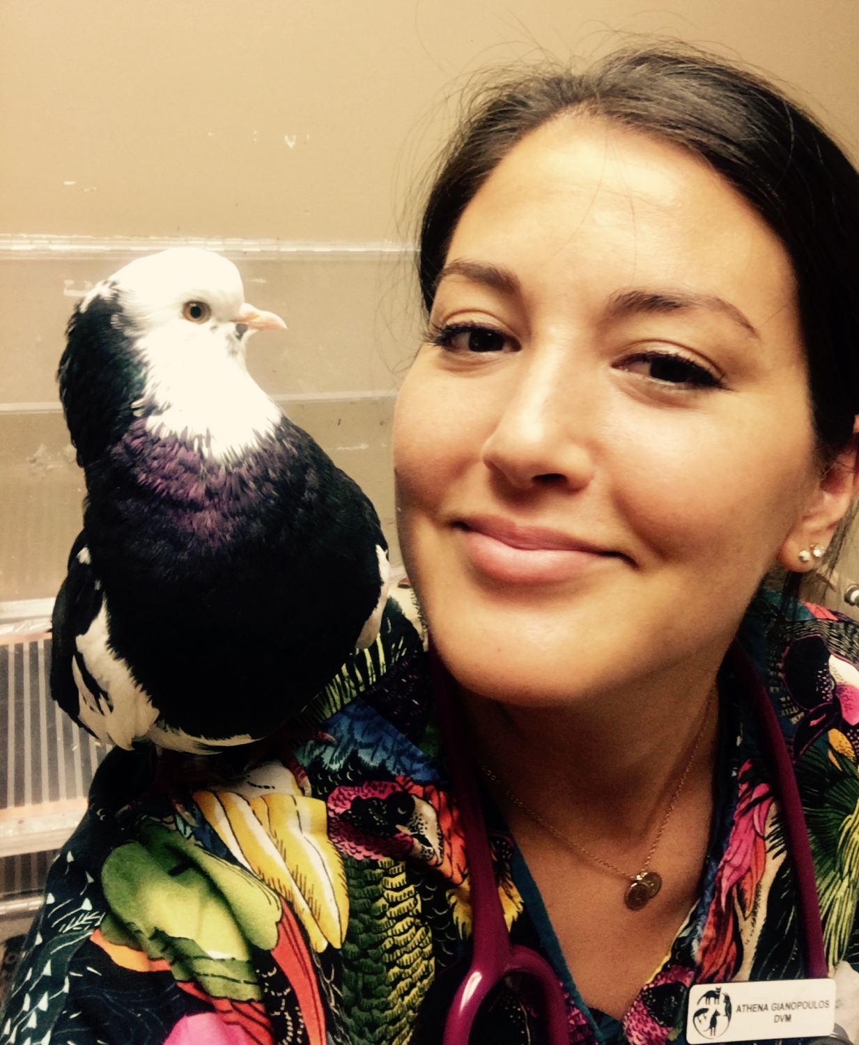 Dr. Athena Gianopoulos, DVM, Medical Center For Birds Dr. Athena Gianopoulos, DVM, Medical Center For Birds
