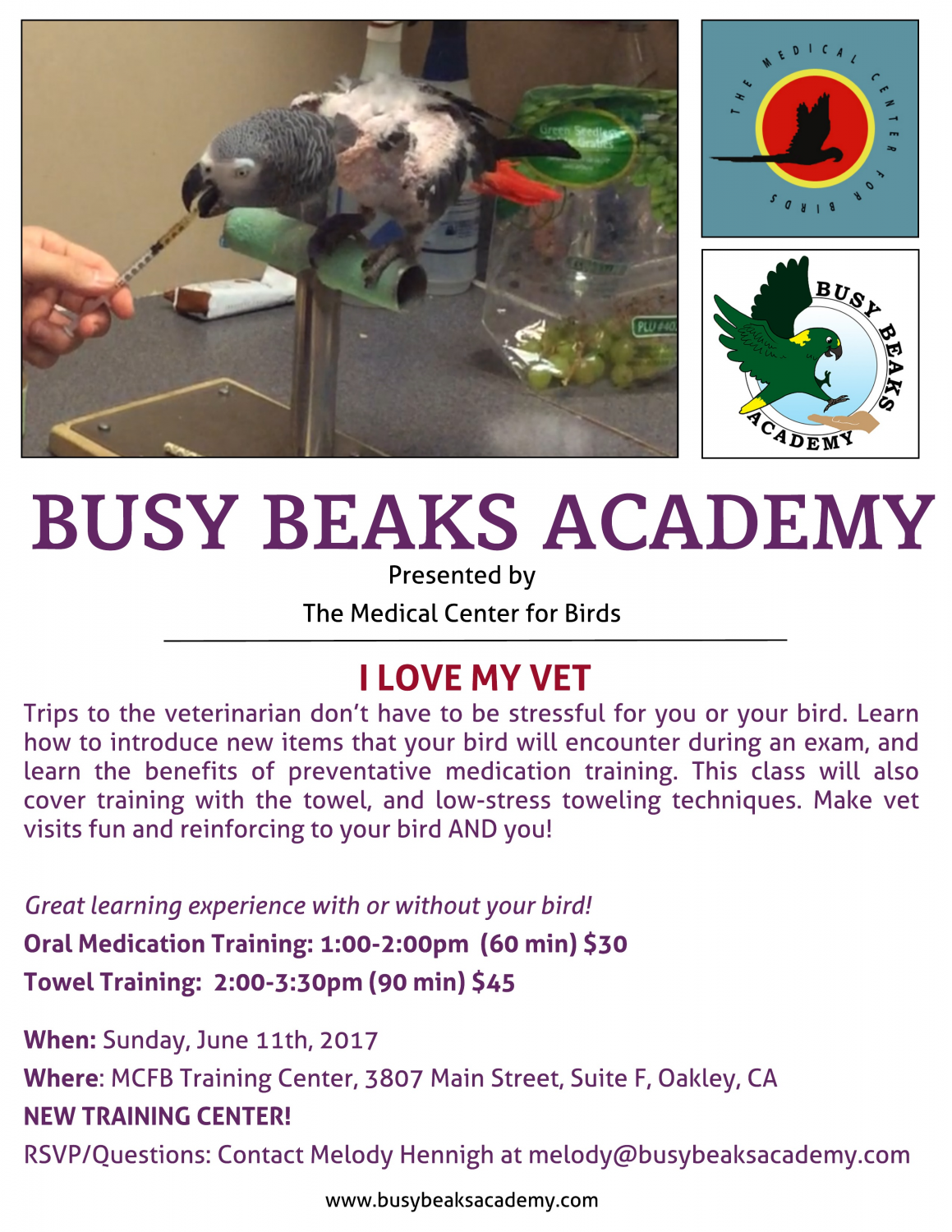 Companion Parrot Training Classes