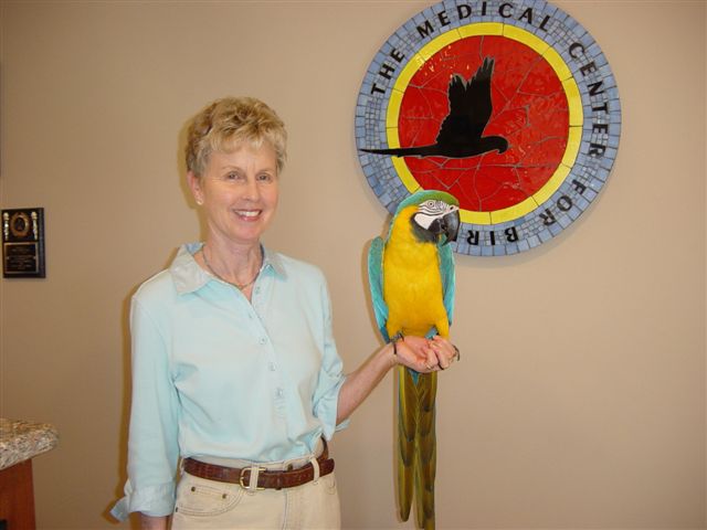Medical Center For Birds Oakley California - Abby and Georgietoes