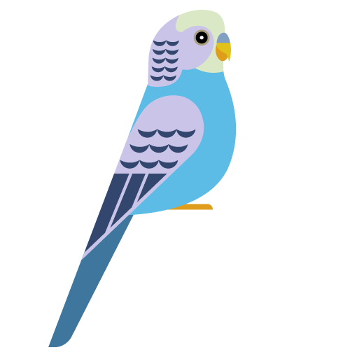 Parakeet Icon