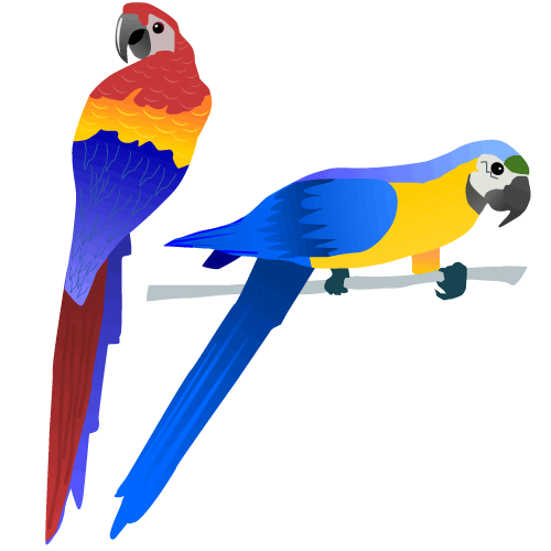 Macaws Icon